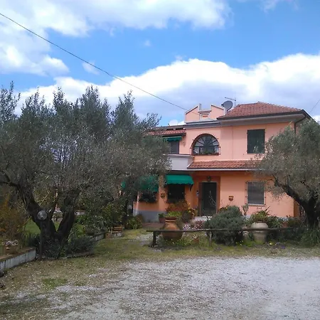 Il Filicuso Bed and Breakfast Curinga