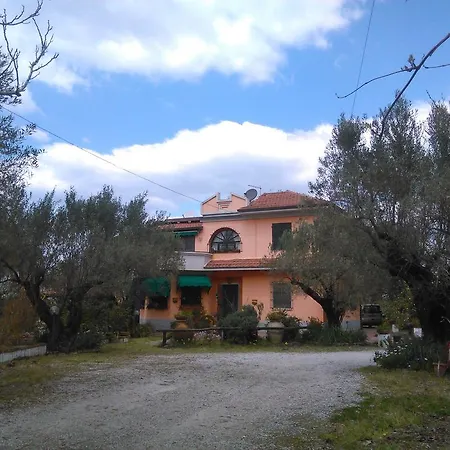 Il Filicuso Bed and Breakfast Curinga